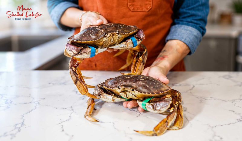 What Is a Jonah Crab?