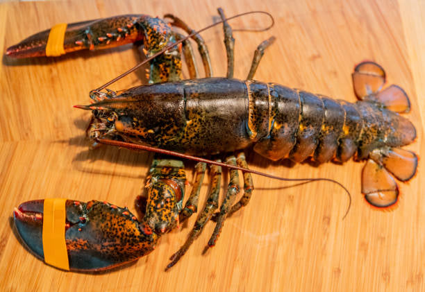 Jumbo 20–24 oz Lobster Tails