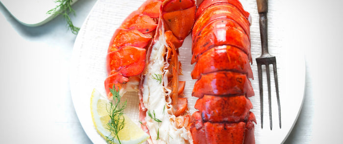 8-10 oz. Maine Lobster Tails