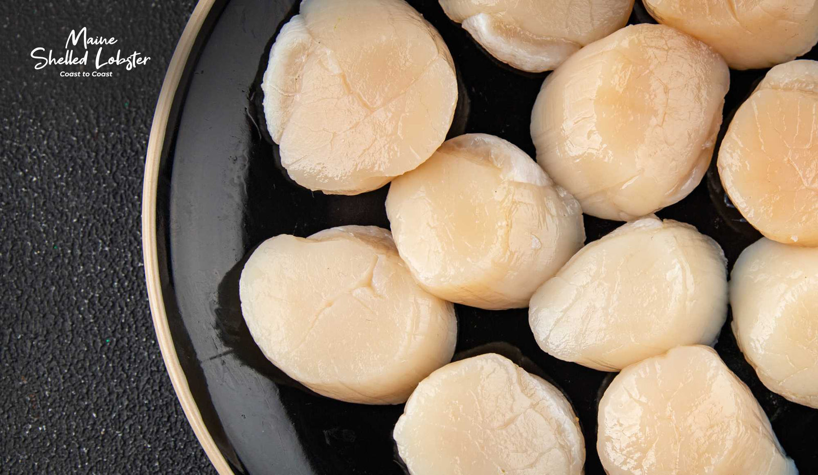 Scallop Sizes Explained, From U10 to 30/40