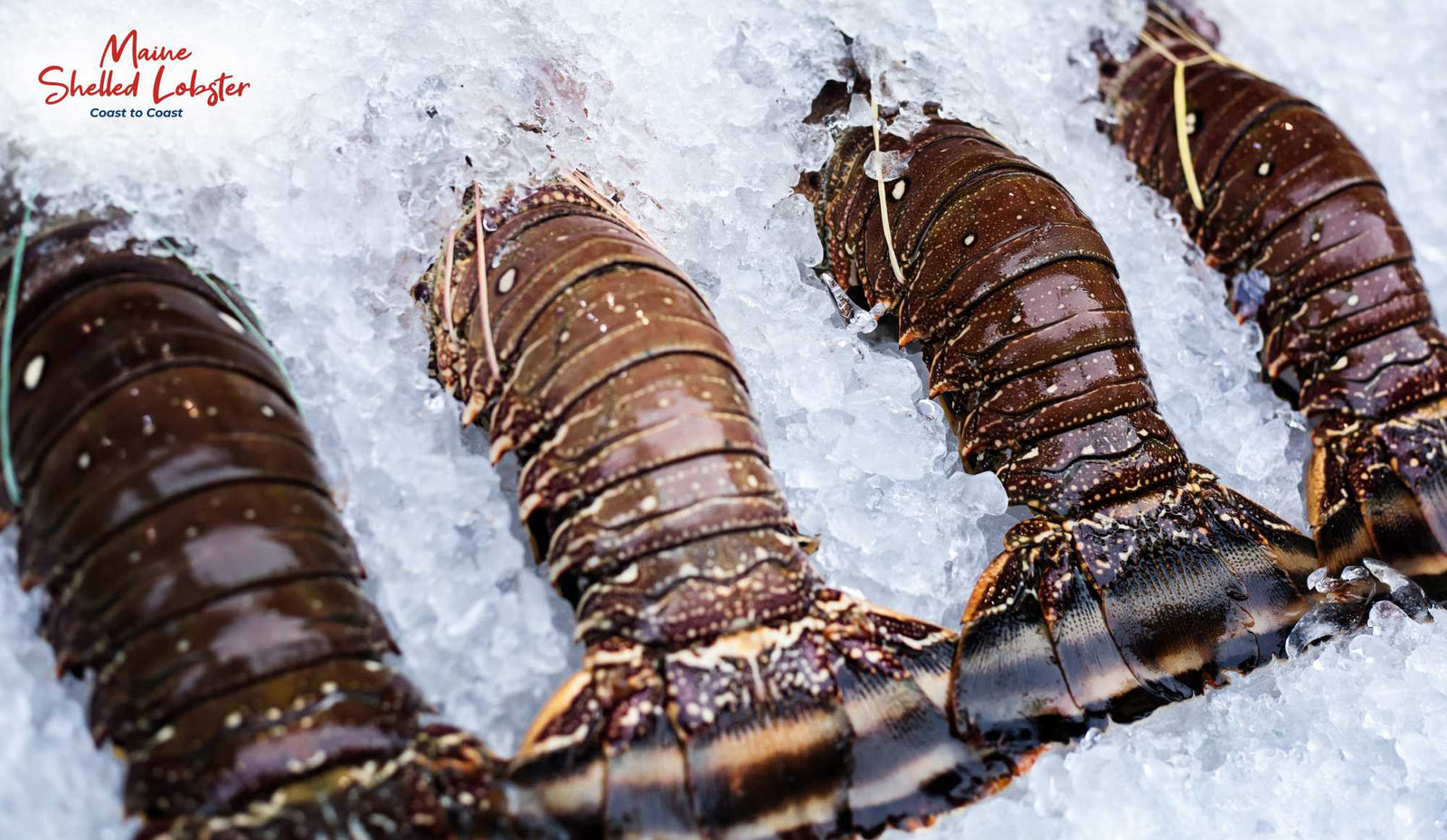 How to Cook Frozen Lobster Tails, Any Method