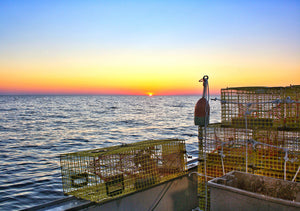 Why Maine Lobster Reigns Supreme: Benefits of Cold Water Lobster over Warm Water