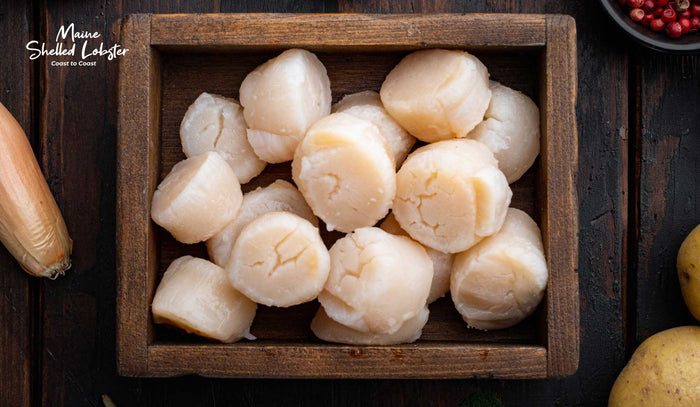 Hokkaido Scallops, What They Are and How to Buy