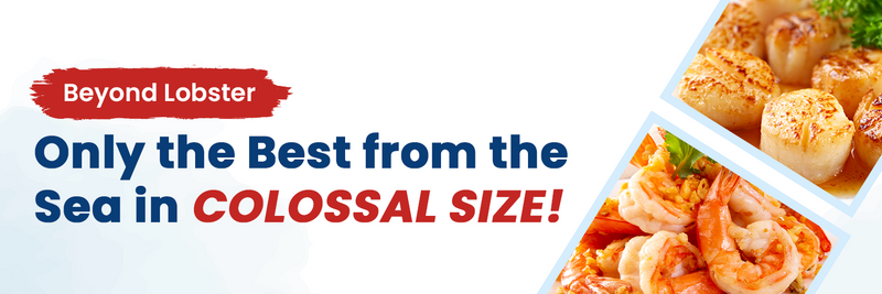 Collection Mobile Banner