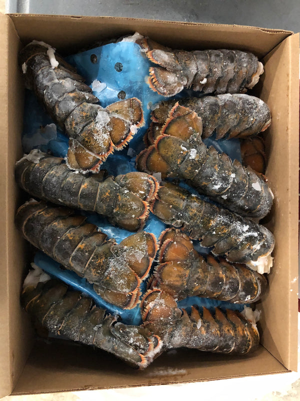 8-10 oz maine lobster tails