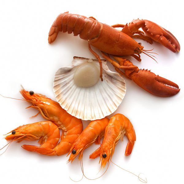 Tide-to-Table Trio (Lobster, Scallops & Shrimp)