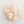 Colossal Scallop & Shrimp Combo